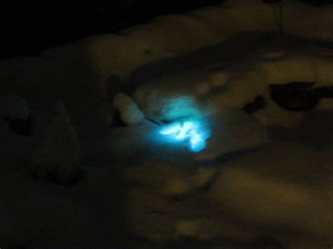 Solar LED light shining under the snow. | Solar led lights, Led lights, Solar led