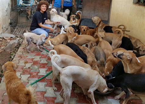 Dog Shelters In Kolkata - Blajewka