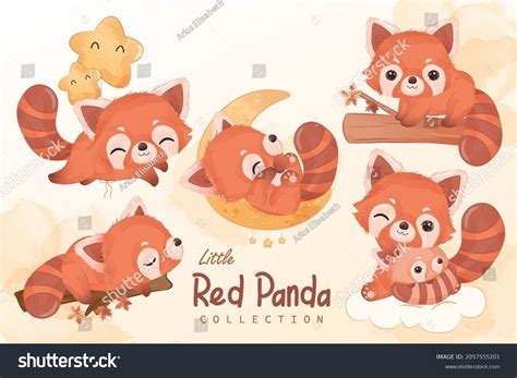 7,819 Cute Red Panda Vector Images, Stock Photos & Vectors | Shutterstock