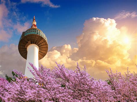 14 Best Things To Do in Seoul in 2023