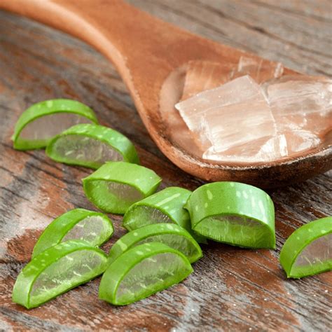 Aloe Vera For Skin Whitening: Dermatology Speak | Bodywise