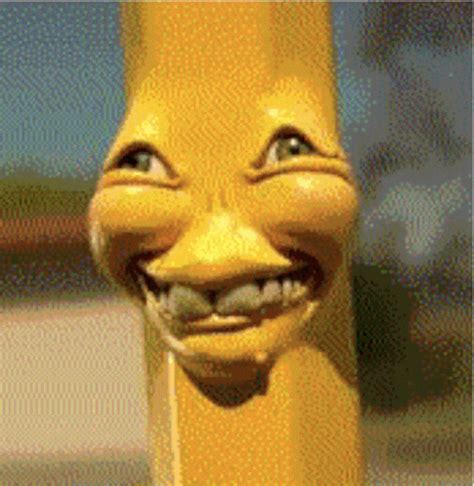 Weird Funny GIF - Weird Funny Scary - Discover & Share GIFs