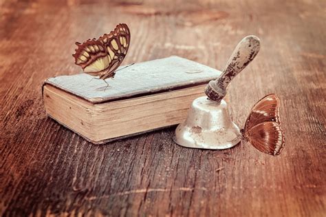 Free Images : hand, wood, vintage, antique, bell, material, old book ...