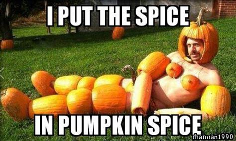 Funny Pumpkin Memes, Puns and Fun | Funny halloween pictures, Funny ...