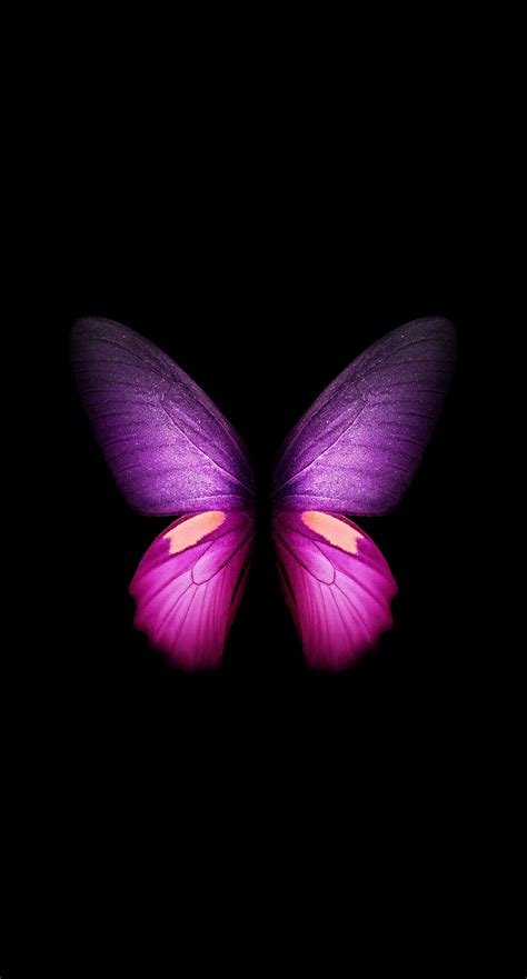 Live Butterfly Wallpaper - KoLPaPer - Awesome Free HD Wallpapers