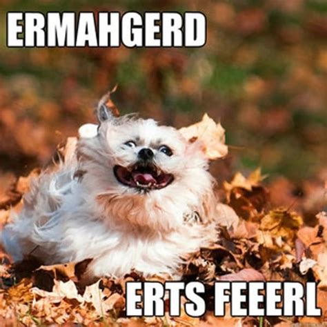 27 Funny Fall Memes For Anyone Who Lives For Dying Leaves