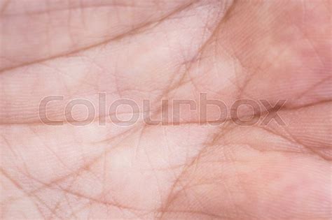 Macro Hand skin texture | Stock image | Colourbox