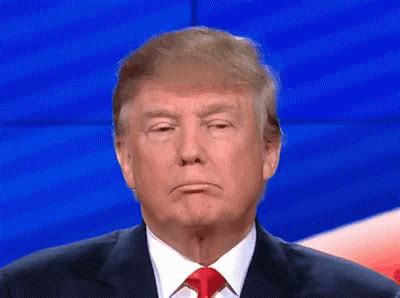 Trump Donald GIF - Trump Donald Ah - Discover & Share GIFs