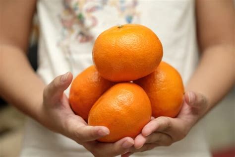 The Honey Tangerine Tree - Minneopa Orchards