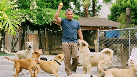 Cesar Millan's Long Walk To Becoming The 'Dog Whisperer' : NPR