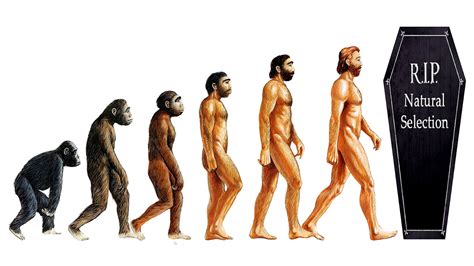 Where is evolution taking the human race? | by Akshay Balakrishnan ...