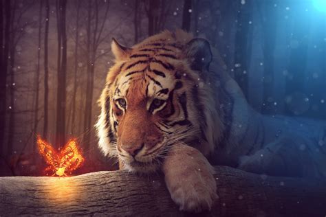 Tiger Dreamy Art, HD Artist, 4k Wallpapers, Images, Backgrounds, Photos and Pictures