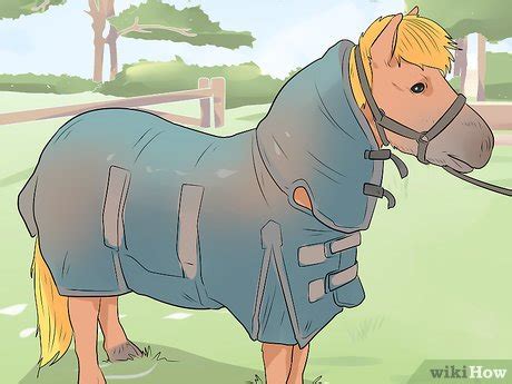 How to Care for a Miniature Horse (with Pictures) - wikiHow