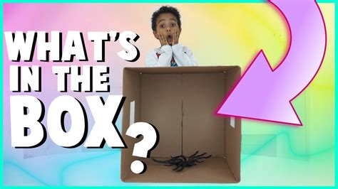 WHAT'S IN THE BOX CHALLENGE - YouTube