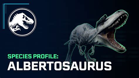 Species Profile – Albertosaurus - YouTube