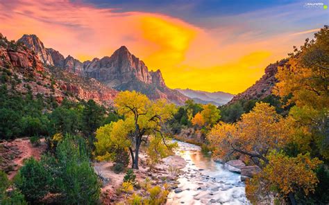 autumn, Watchman Mountains, Stones, Utah State, trees, Zion National ...