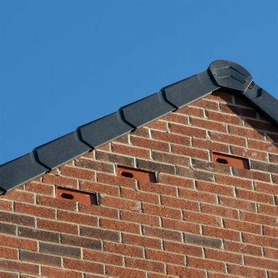 ‘Swift Bricks’ in Norwich Swifts are remarkable birds. | by Colin Hynson | Medium