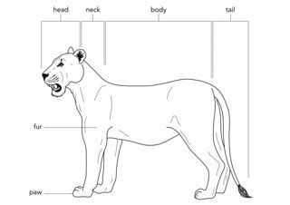 Mammal body parts | Illustration used in Gr 4-6 Natural Scie… | Flickr