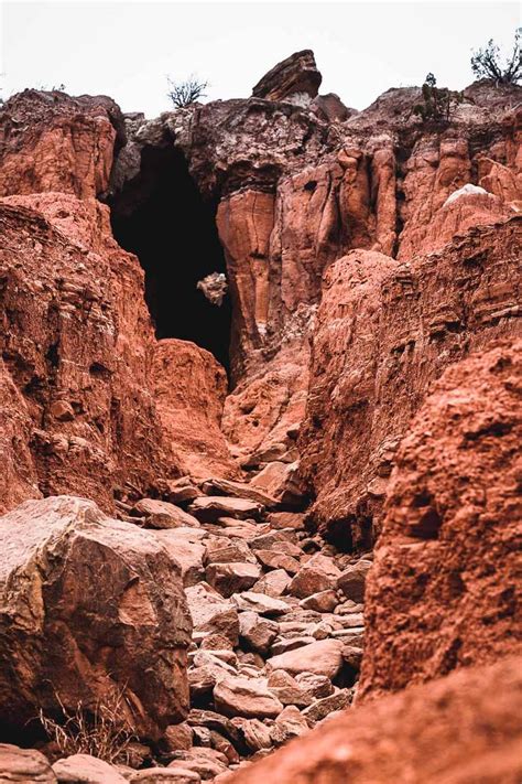 Beauty And Wildlife In Palo Duro Canyon | Aperture Adventure