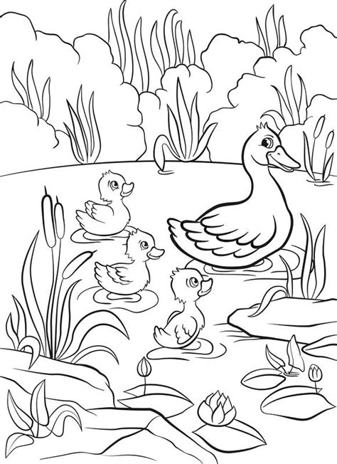 Duck In A Pond Drawing at GetDrawings | Free download