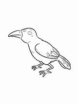 Crow coloring Page sketch template