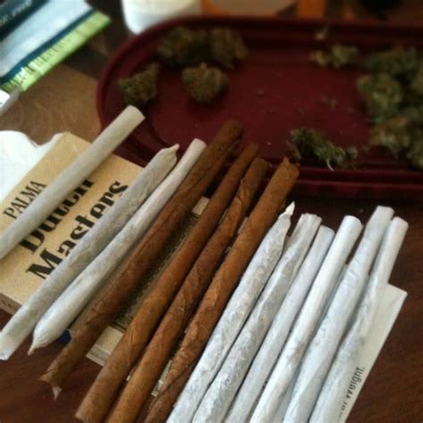 Blunt Weed Roll | Riddle's Time