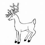 Free Printable Reindeer Coloring Pages For Kids sketch template