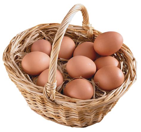 Eggs Png Image Transparent HQ PNG Download | FreePNGImg