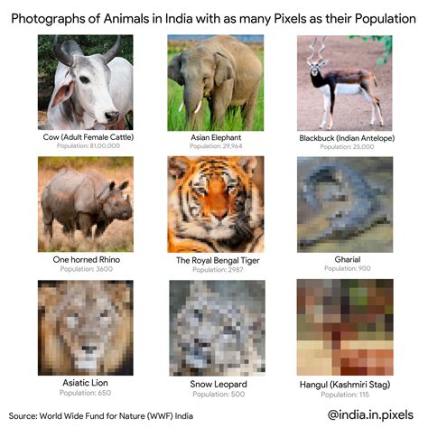 Pictures of Animals in India shown with as many pixels as their ...