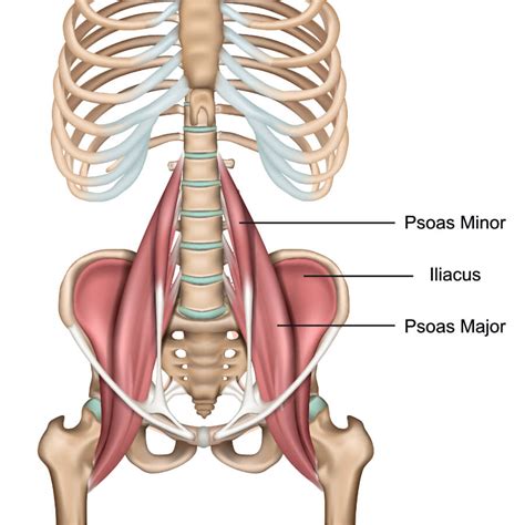 Psoas Pain Relief