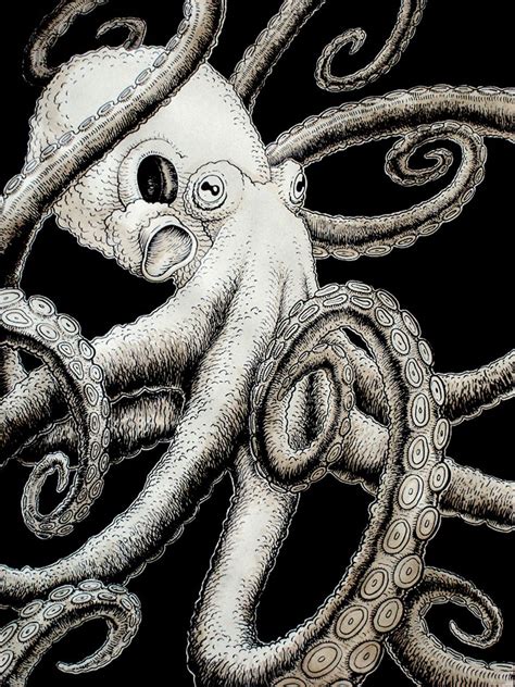 Octopus by Rode-Egel.deviantart.com on @deviantART | Octopus drawing, Octopus art, Octopus