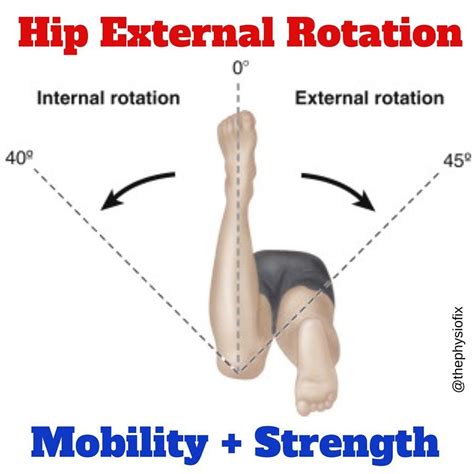 Dr. Stacie Morris DPT,USAW,FRC on Instagram: “🚨How to Improve your Hip External Rotation ...