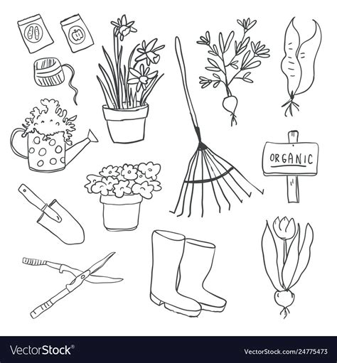 Gardening elements outline Royalty Free Vector Image