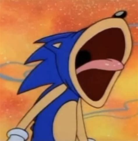 Cursed sonic images | Fandom