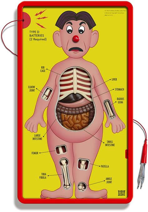 A More Scientifically Accurate Version of the Game 'Operation' | Operation game, Anatomy, Games