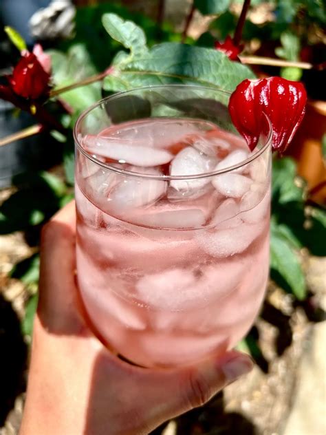 Refreshing Roselle - Home Grown Hibiscus Tea - Solaris Garden