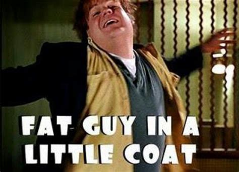 Lil coat (With images) | Haha funny, I love to laugh