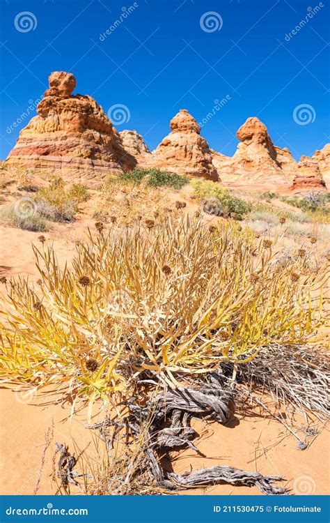 Coyote Buttes South stock image. Image of blue, formation - 211530475