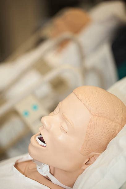 Medical Simulation Mannequins Stock Photos, Pictures & Royalty-Free ...