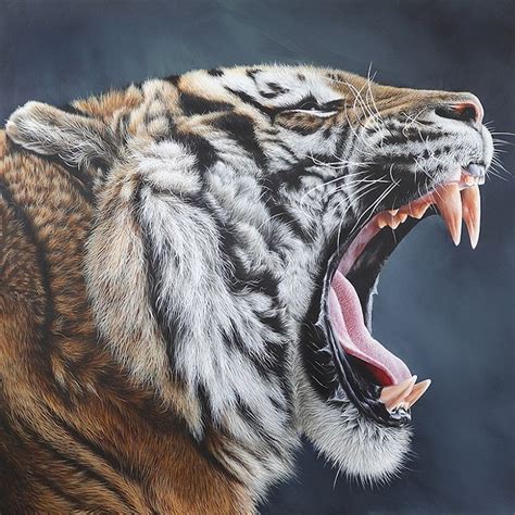 Wildlife Art: 15 Stunningly Realistic Portraits