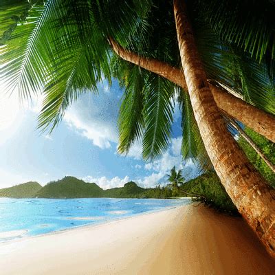 Animated Beach Background, animated , beach , background , summer ...