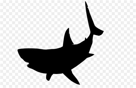 Shark Silhouette Clip art - shark png download - 1075*430 - Free Transparent Shark png Download ...
