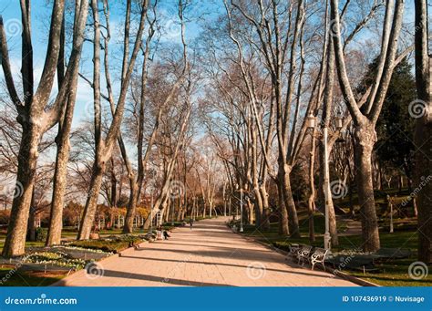 Winter in Gulhane Park, Oldest Public Park in Istanbul Stock Image - Image of color, sunny ...