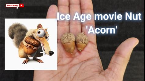 Ice Age movie nut | 'Acorn' Oak Tree Fruit - YouTube