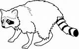 Get This Printable Raccoon Coloring Pages Online 59808 sketch template