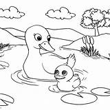 Pond Coloring Pages  Free Printable sketch template
