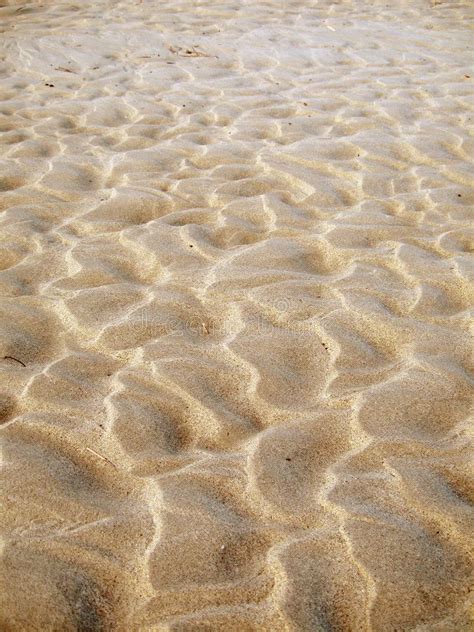 Free stock photo sand beach background with sea shells pebbles many round small stones – Artofit