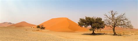 arid climate, trees, environment, africa, national park, remote ...