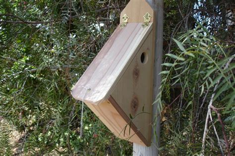 Bird House Plans For Finches | Birdcage Design Ideas