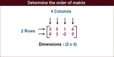 Order Of Matrix, Matrix Multiplication, Matrix Series along with examples.